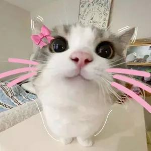 きゅるりんってしてみて プレートペンライト チバゆな Amazon.co.jp: きゅるりんってしてみて きゅるして ペンライト