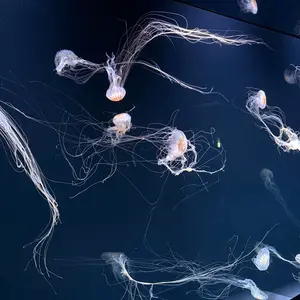 18TRIP エイトリ タワレコ ホログラム 缶バッジ 木ノ内太緒 30個セット 18TRIP エイトリ タワレコカフェ ホログラム缶バッジ 夕班