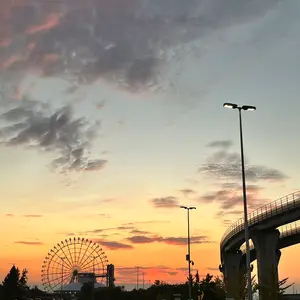 オレッタ 10ぴきのかえる CD オレッタ 10ぴきのかえる CD - メルカリ