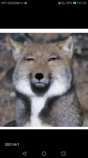 Si-Si-Si スースースー リネン100% ウーパールーパーワンピース