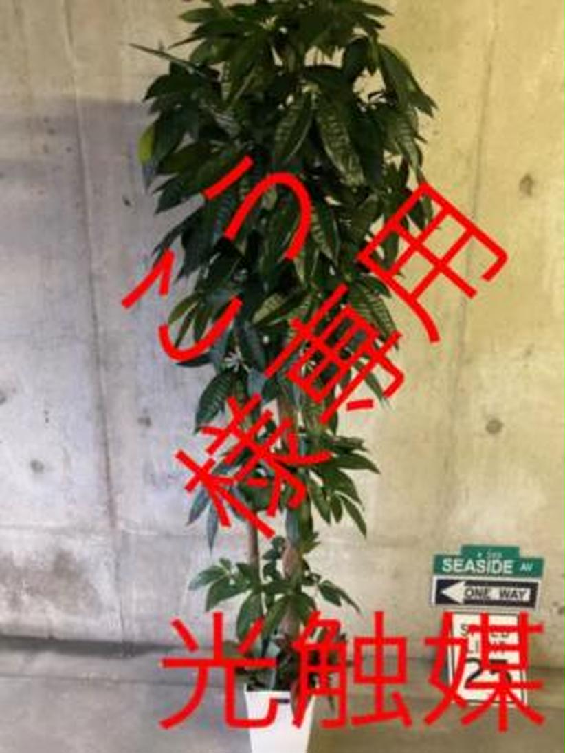 ドライフラ♈ 光触媒 人工観葉植物 ウォールグリーン 造花 インテリア