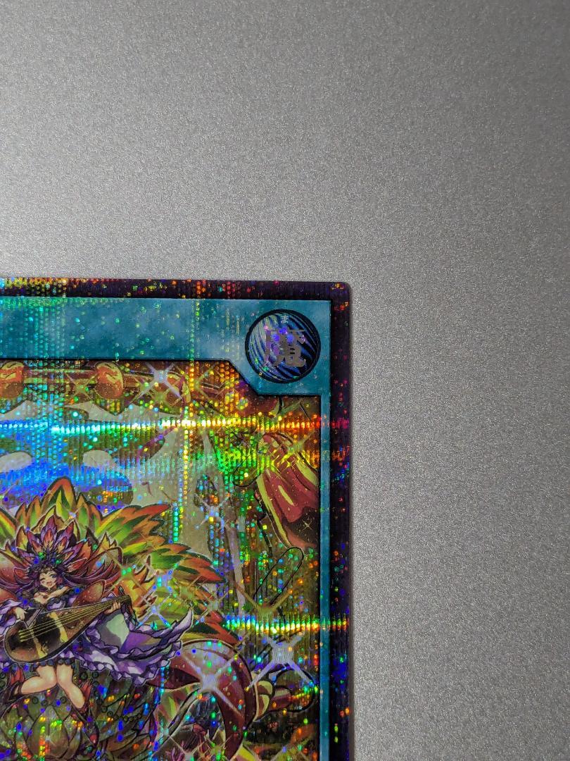 七宝船　シークレット　スターチップ　 遊戯王ラッシュデュエル　絵違い
