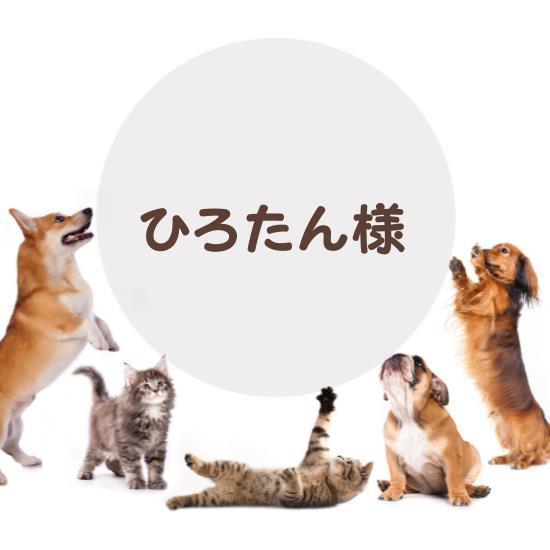 専用ページ