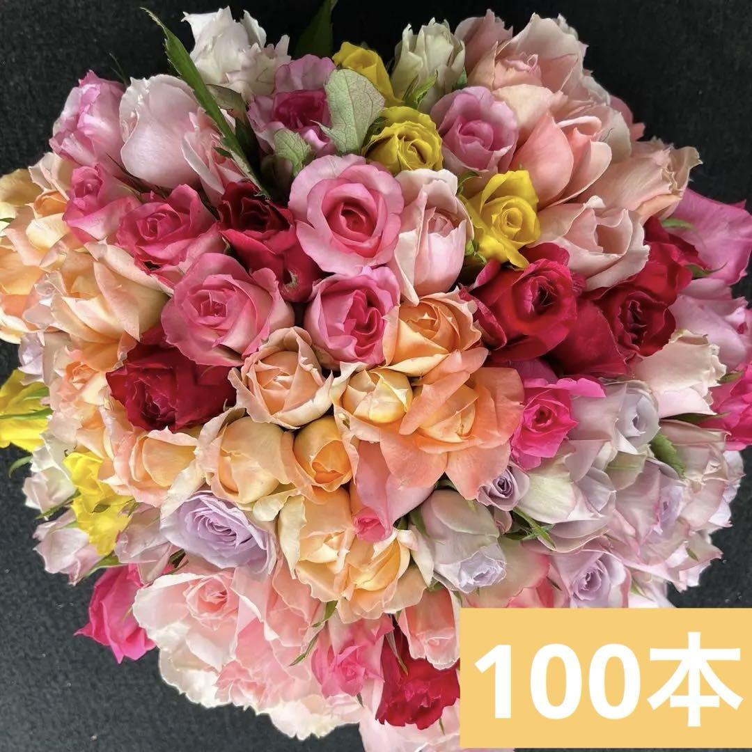 新商品‼️短め‼︎バラ 《切り花 生花 》おまかせMIX　20㎝100本　産地直送！