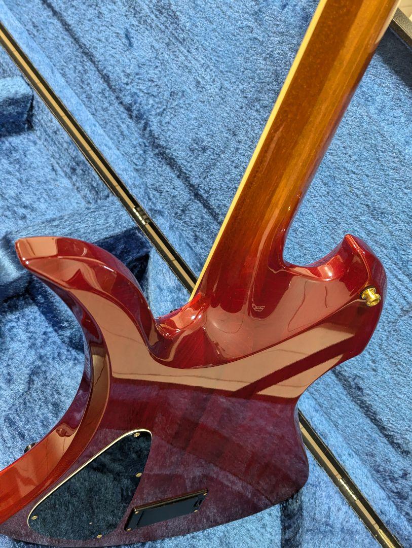 Fernandes Burny MG 340X-CS hideモデル