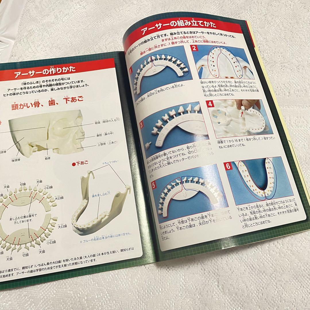 アシェット ・コレクションズ・ジャパン 体の ふしぎ 改訂版 体のふしぎ 創刊号 : 改訂版 体のふしぎ | HMV&BOOKS
