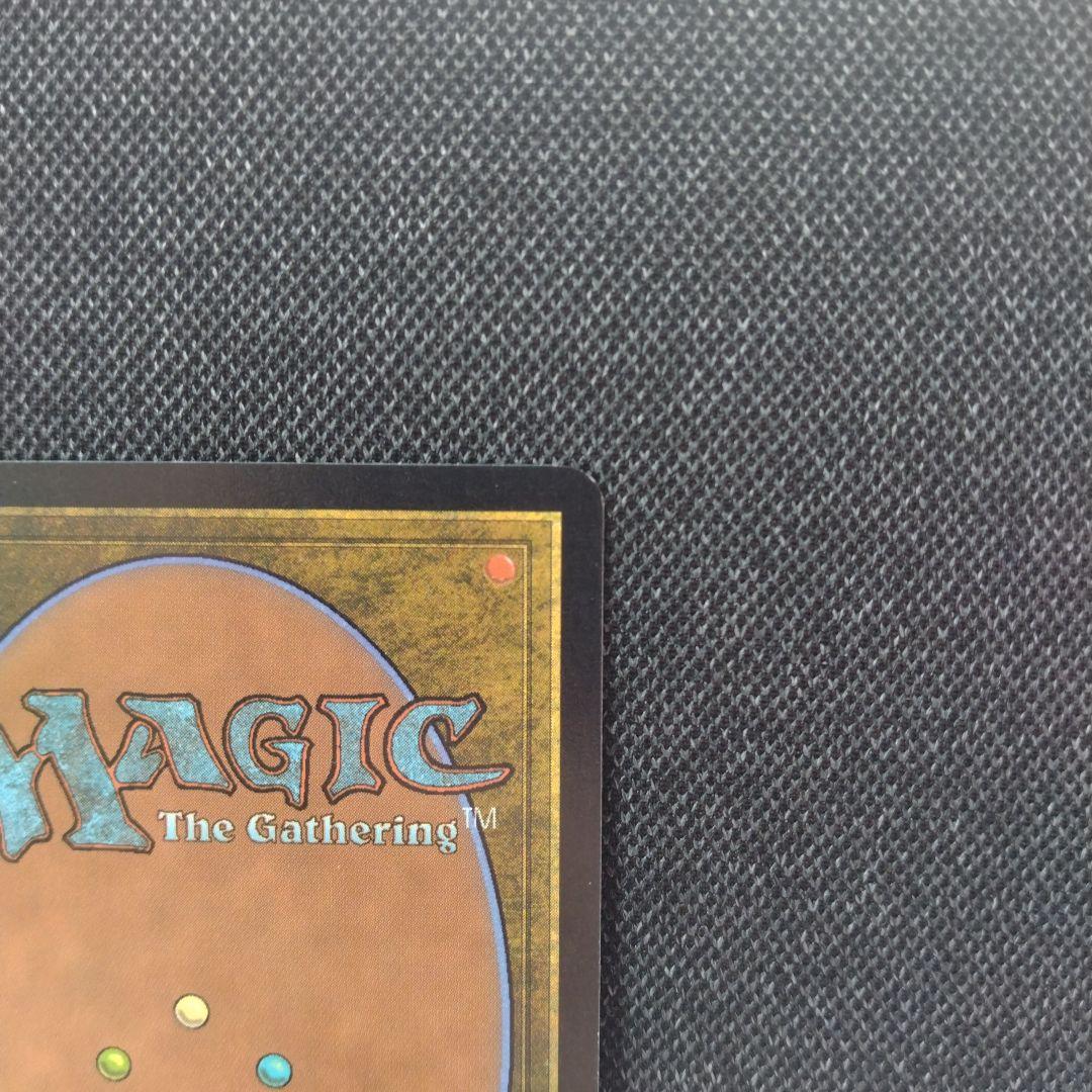 mtg foil 日本語 ドラゴンの嵐