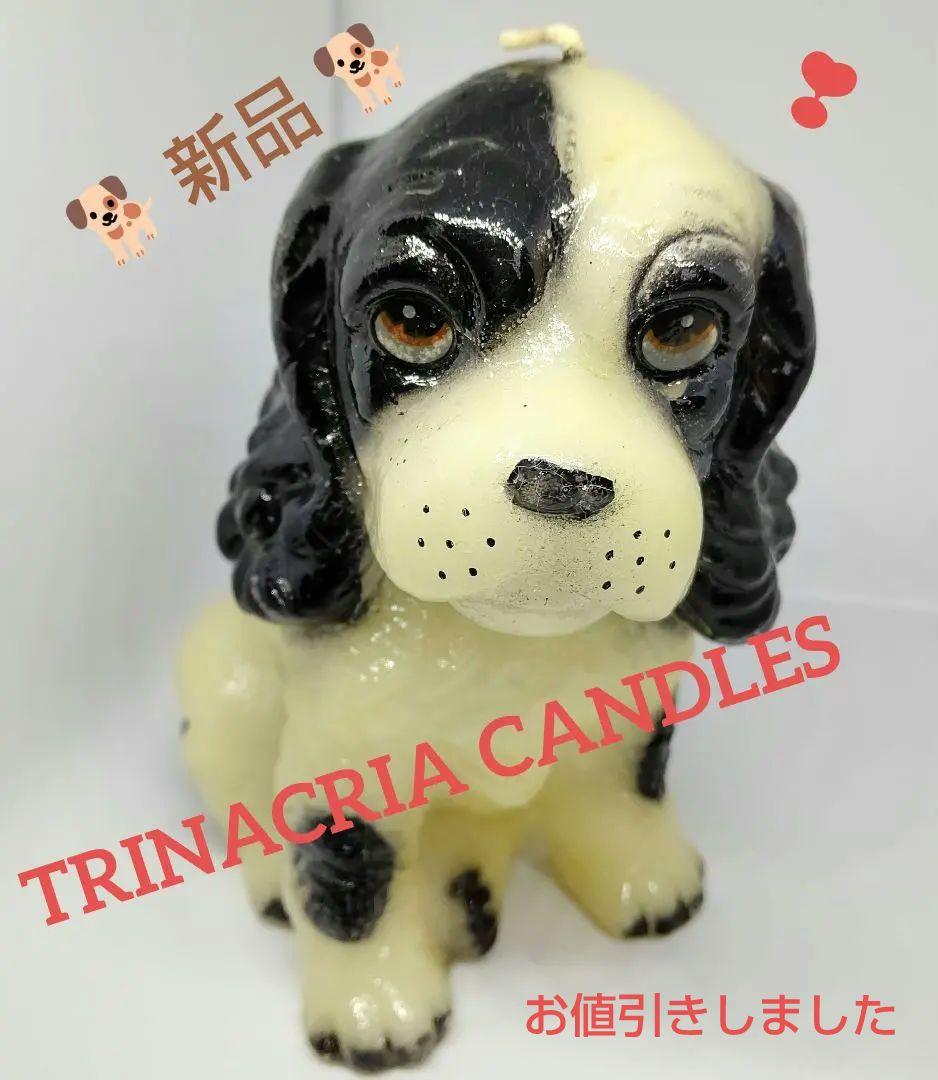 ♦️ 新品 TRINACRIA CANDLES   イタリア製  犬 置物　♦️
