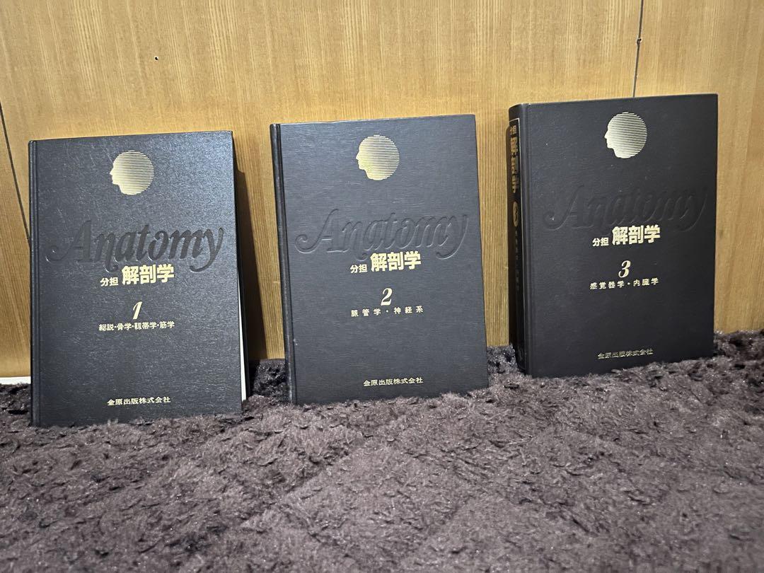 分担解剖学