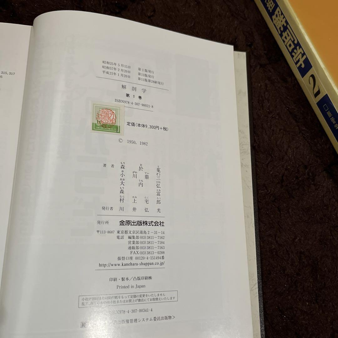 分担解剖学