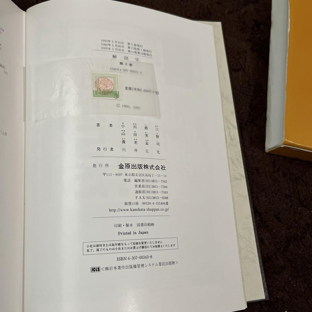 分担解剖学
