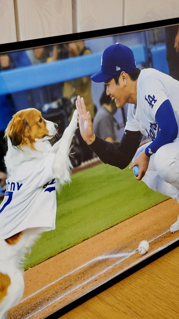 Snow Walkerドジャース大谷翔平 A3ポスターフレーム付きセット