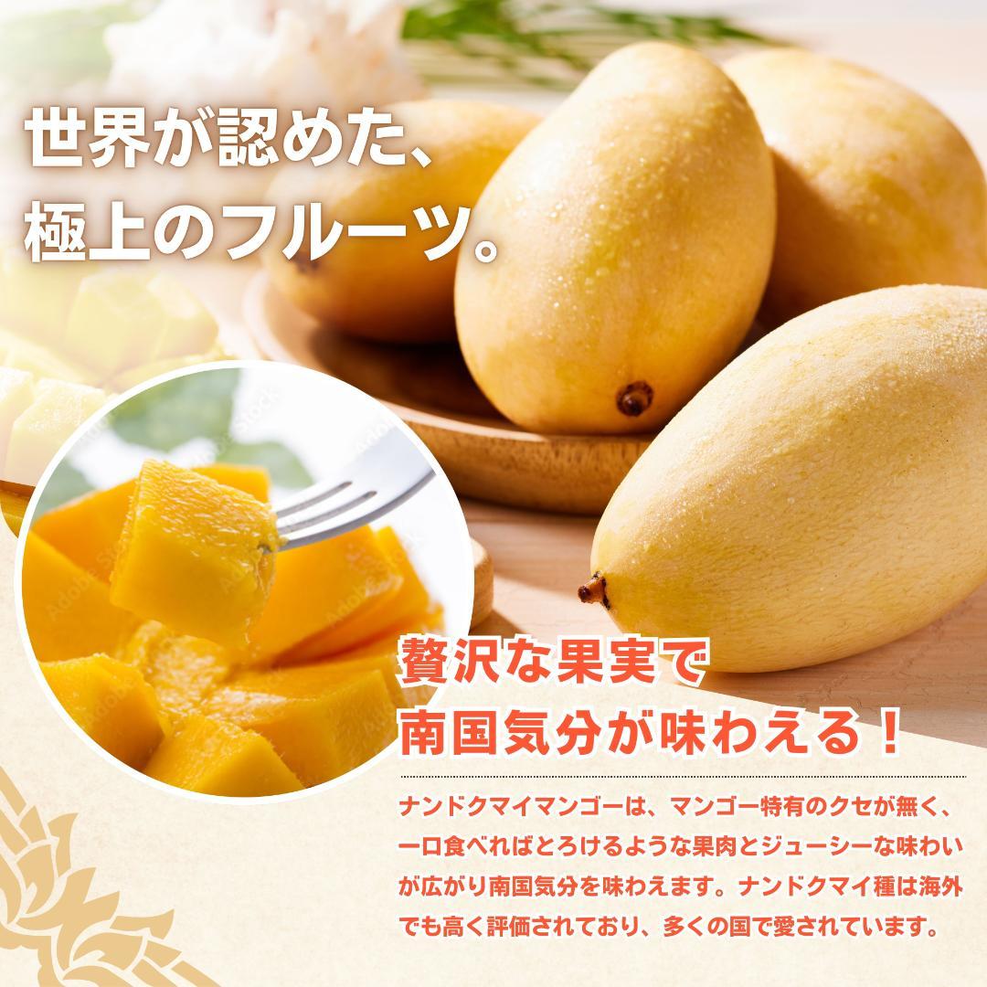 【タイ産最高級】マンゴー 10玉 ナムドクマイ ナンドクマイ799