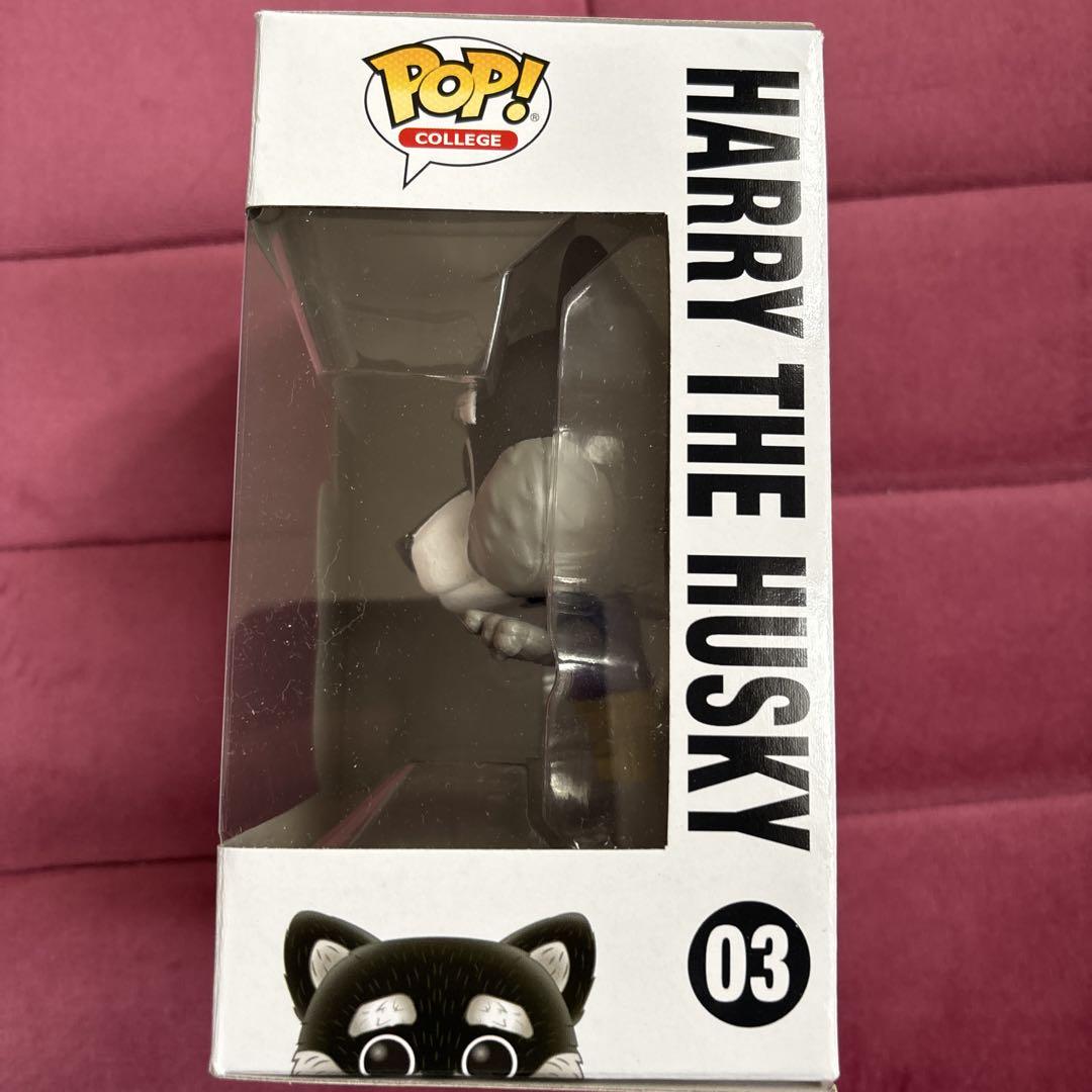 Funko POP! カレッジマスコット ハリー・ザ・ハスキー フィギュア 03
