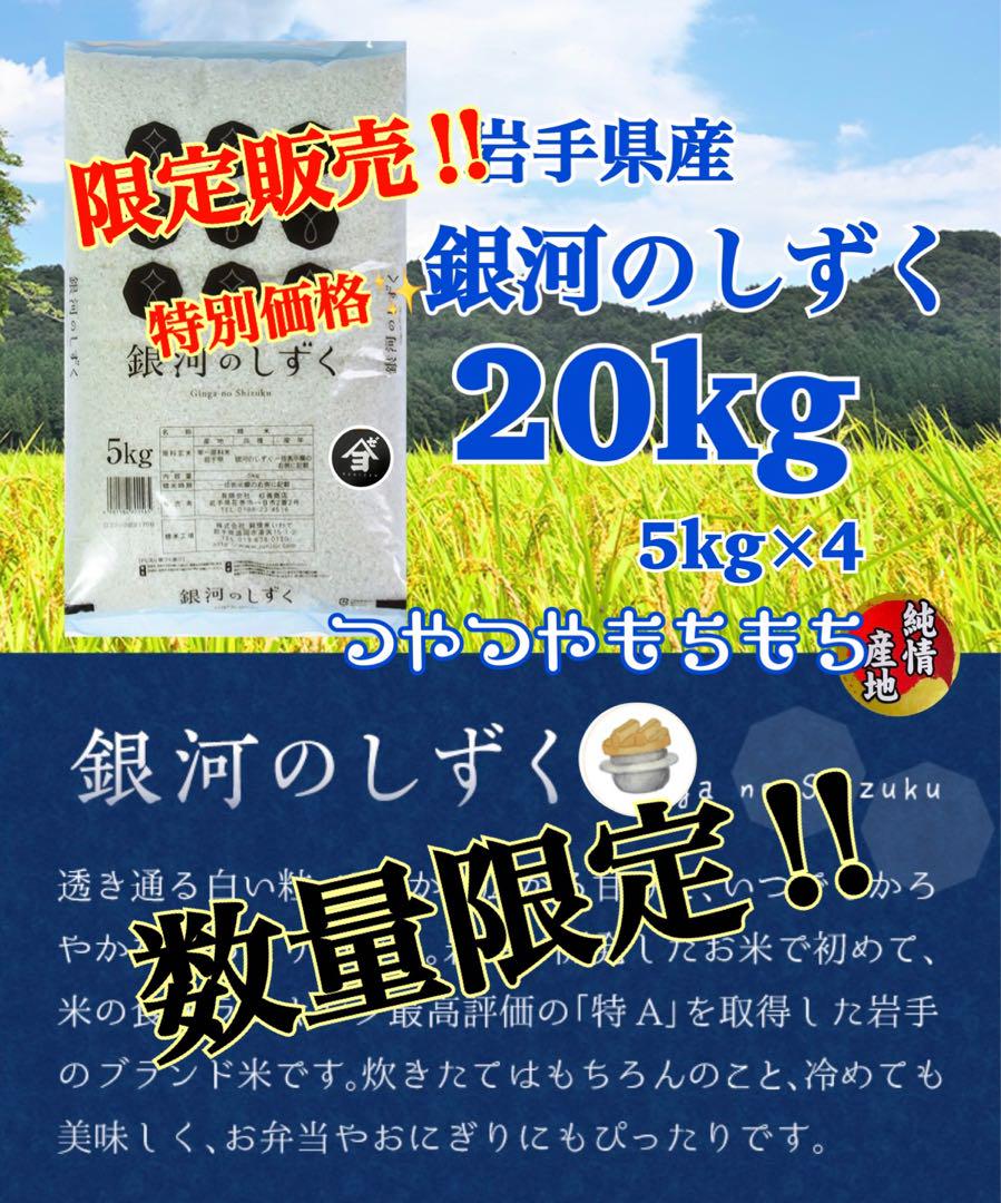 米　特別限定価格！【岩手県産銀河のしずく20kg】5kg×4 6年連続特A評価！