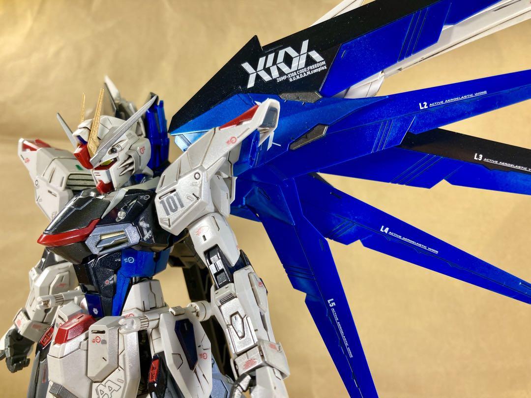 MG フリーダムガンダム ver.2.0 全塗装済完成品