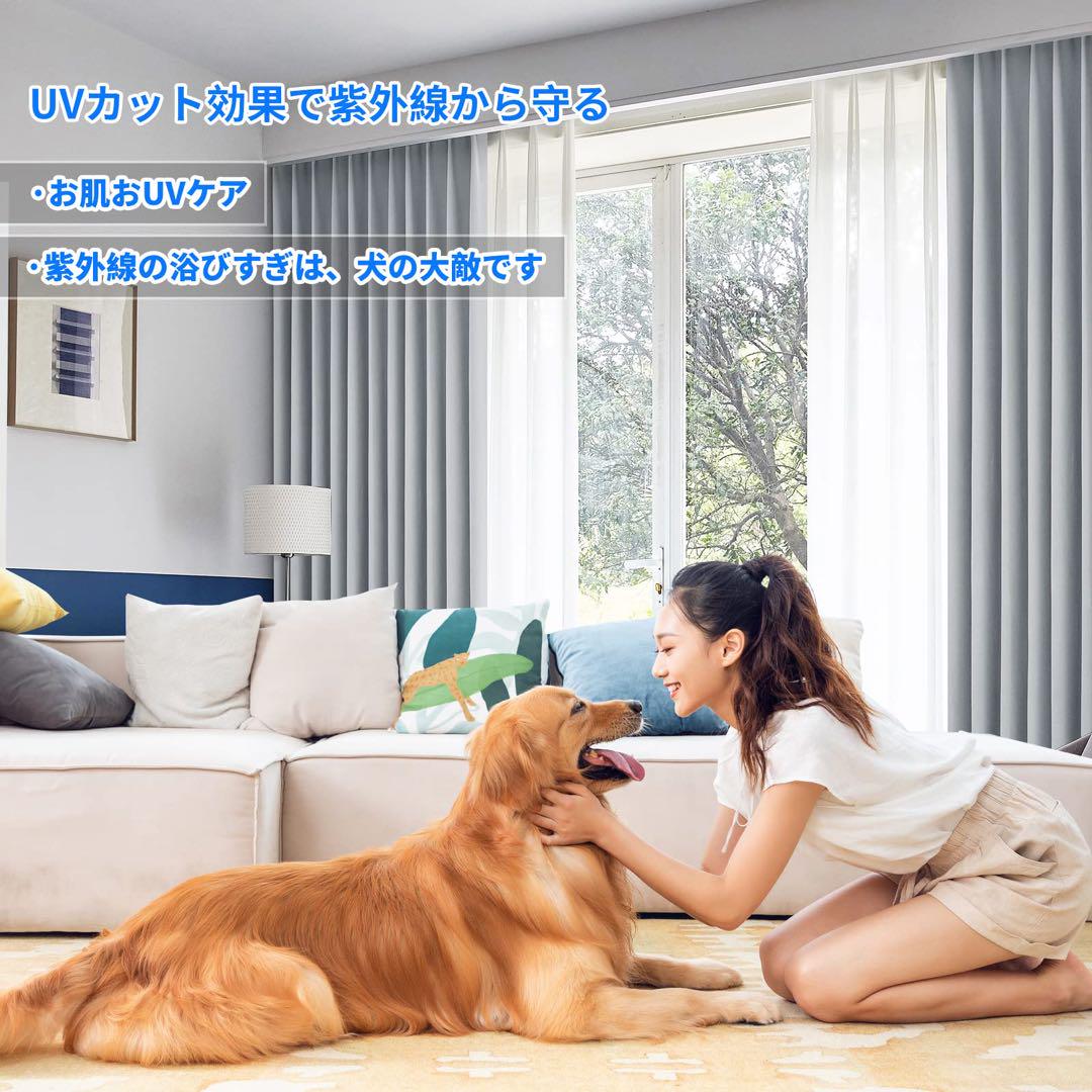 2枚セット