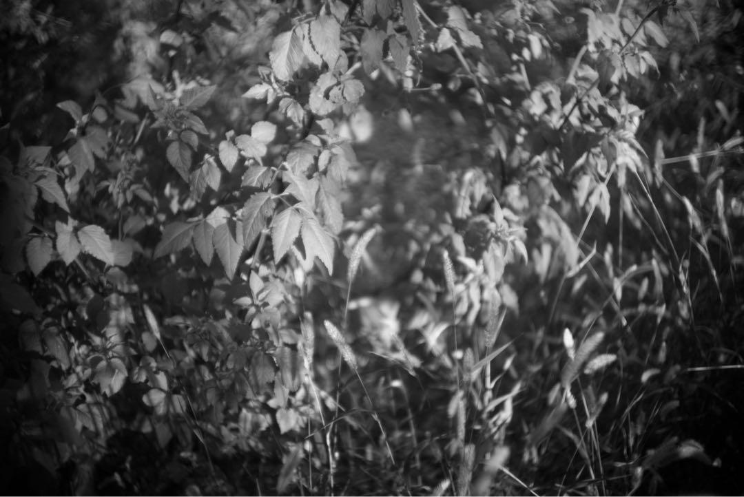 F1.5