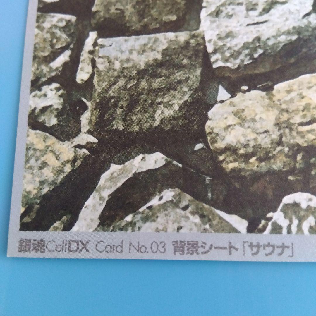 クリスマス特集2025 匿名配送】銀魂 土方十四郎 PHOTO COLLECTION Cell DX その他