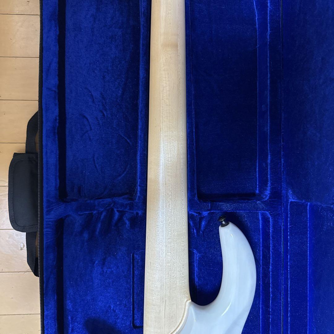 Elrick Expat eVolution 5-String ベース　5弦