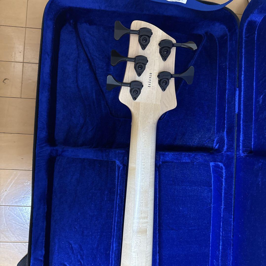 Elrick Expat eVolution 5-String ベース　5弦