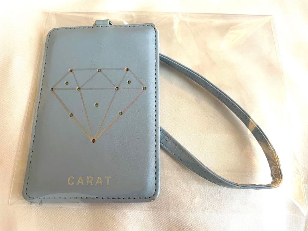 SEVENTEEN SVT セブチ フラッシュパスケース