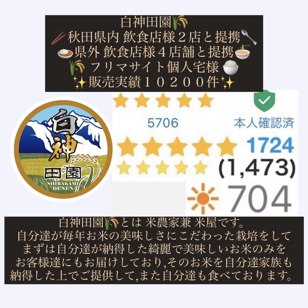 新米 農家直送 秋田県産 令和６年 あきたこまち 20kg 特別栽培米 秋田小町