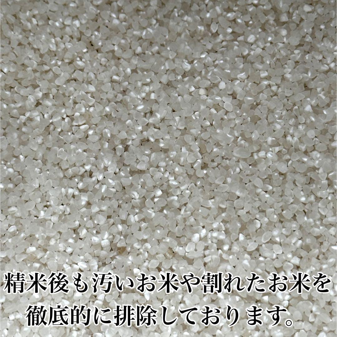 新米 農家直送 秋田県産 令和６年 あきたこまち 20kg 特別栽培米 秋田小町