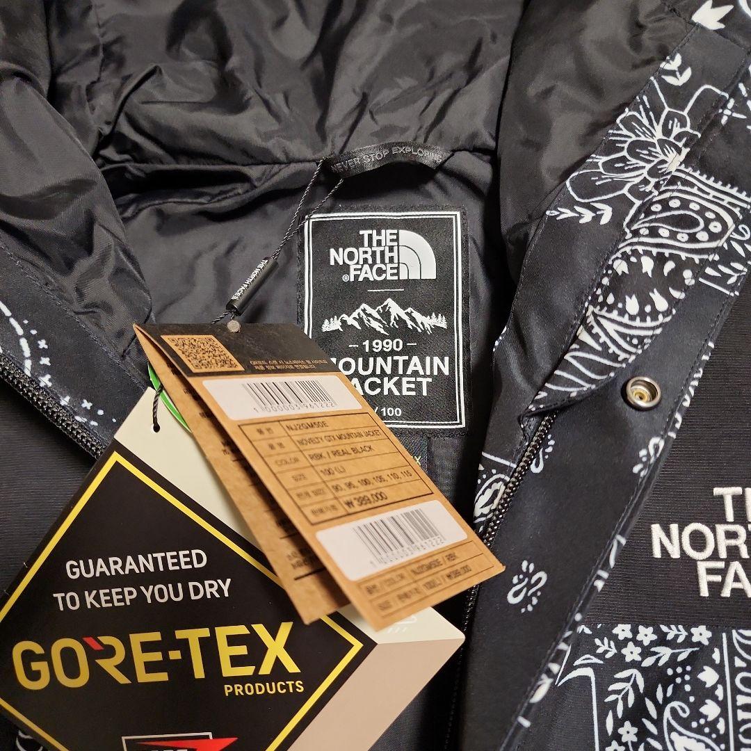 新品【THE NORTH FACE】GORETEX MOUNTAIN