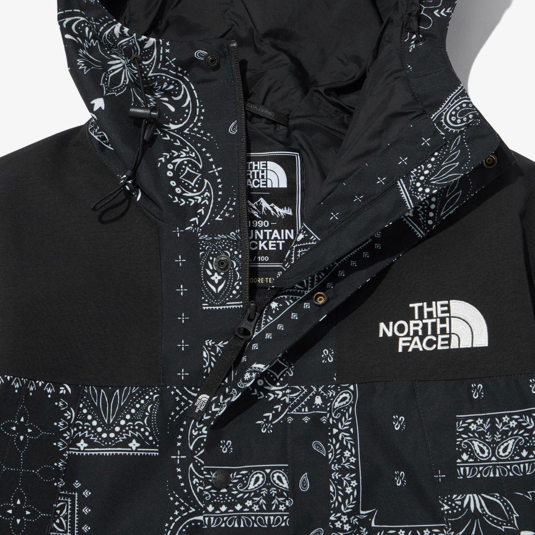 新品【THE NORTH FACE】GORETEX MOUNTAIN