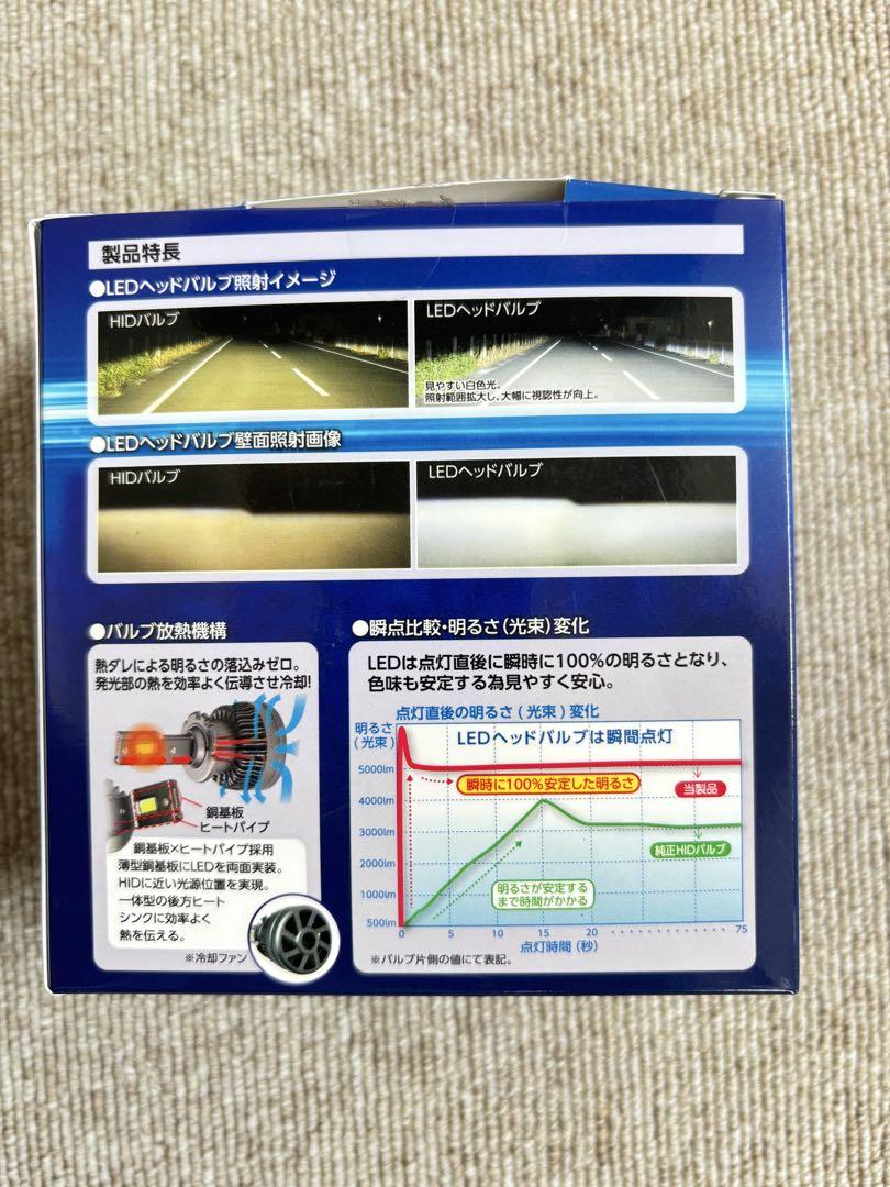 D4S型 LEDヘッドバルブ RGH-P911 6500K
