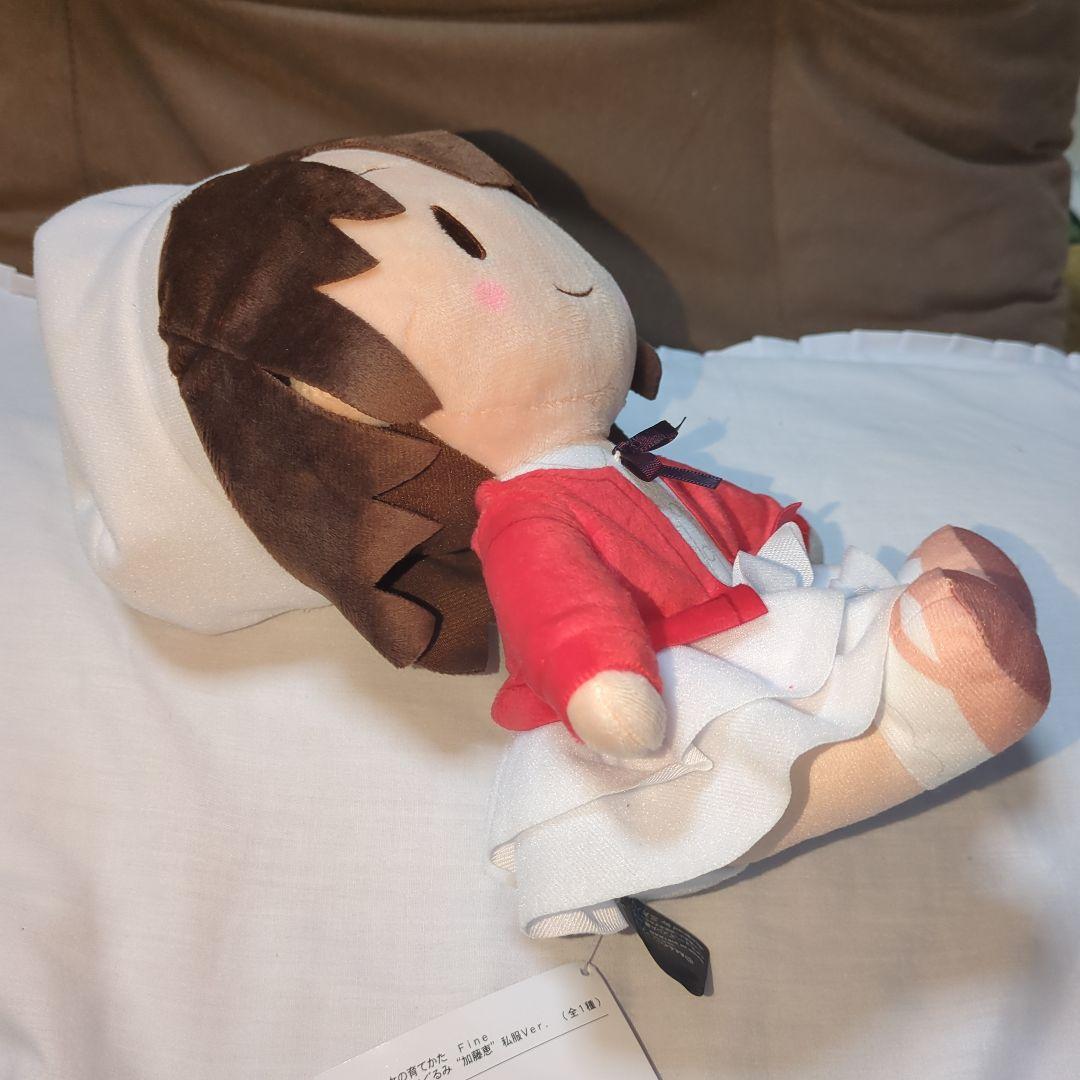 冴えない彼女の育てかた fine ふわぷち Mぬいぐるみ 加藤恵 私服