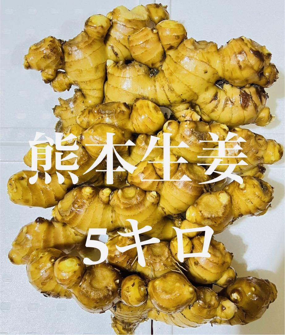 熊本生姜 5キロ