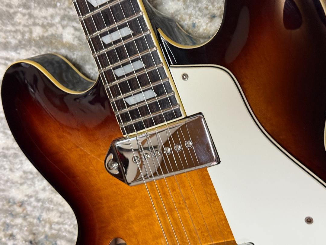 Epiphone Casino VS 2006S ピアレス ハードケース