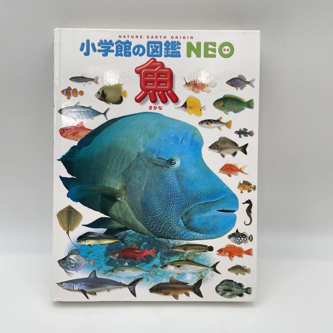 小学館の「図鑑NEO」デラックス25冊セット｜絵本のギフト通販