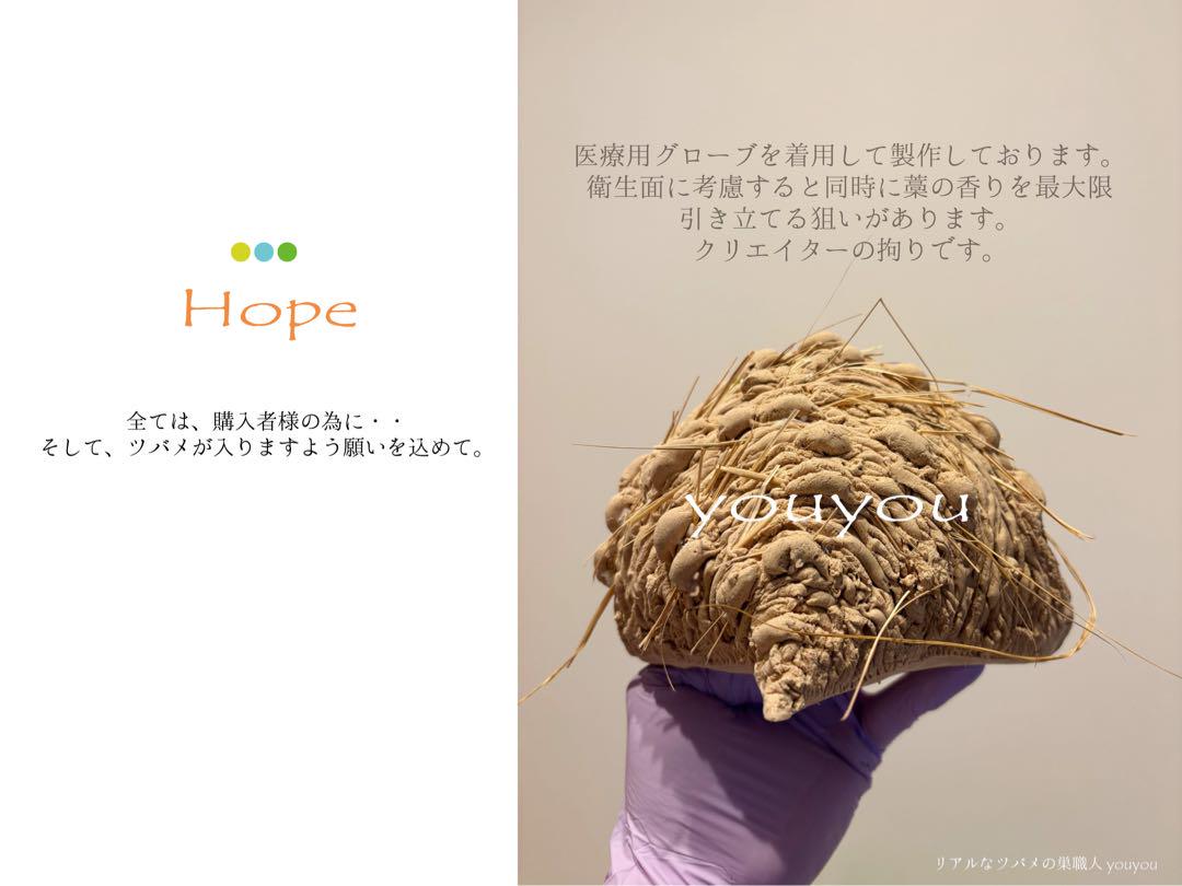 本家！リアルなツバメの人工巣★年代加修再現★壁付けタイプ未使用品★取説付き★
