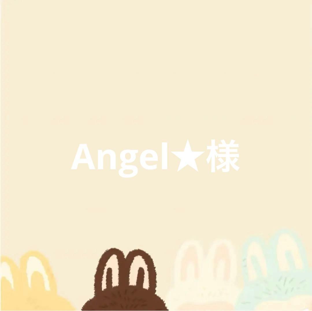 Angel★様専用