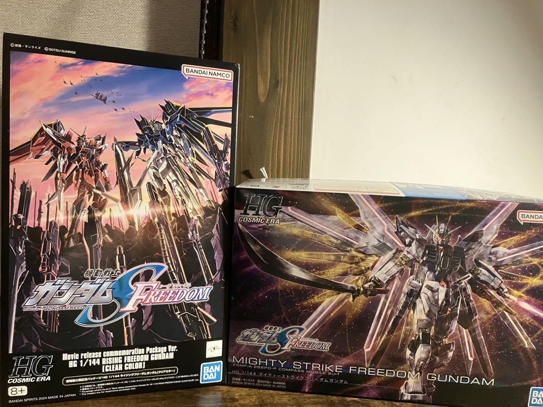 HGマイティストライクフリーダムガンダム　劇場限定ライジングフリーダム　ジャンク