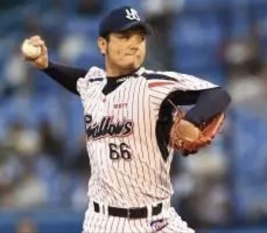 東京ヤクルトスワローズ 新垣渚投手 プロコレクション ユニホーム ユニフォーム 東京ヤクルトスワローズ 新垣渚投手 プロコレクション