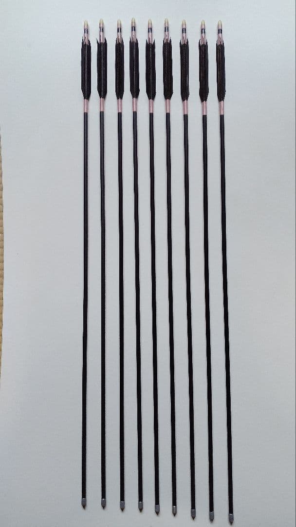 弓道矢、イーストンxx75.1913、９本