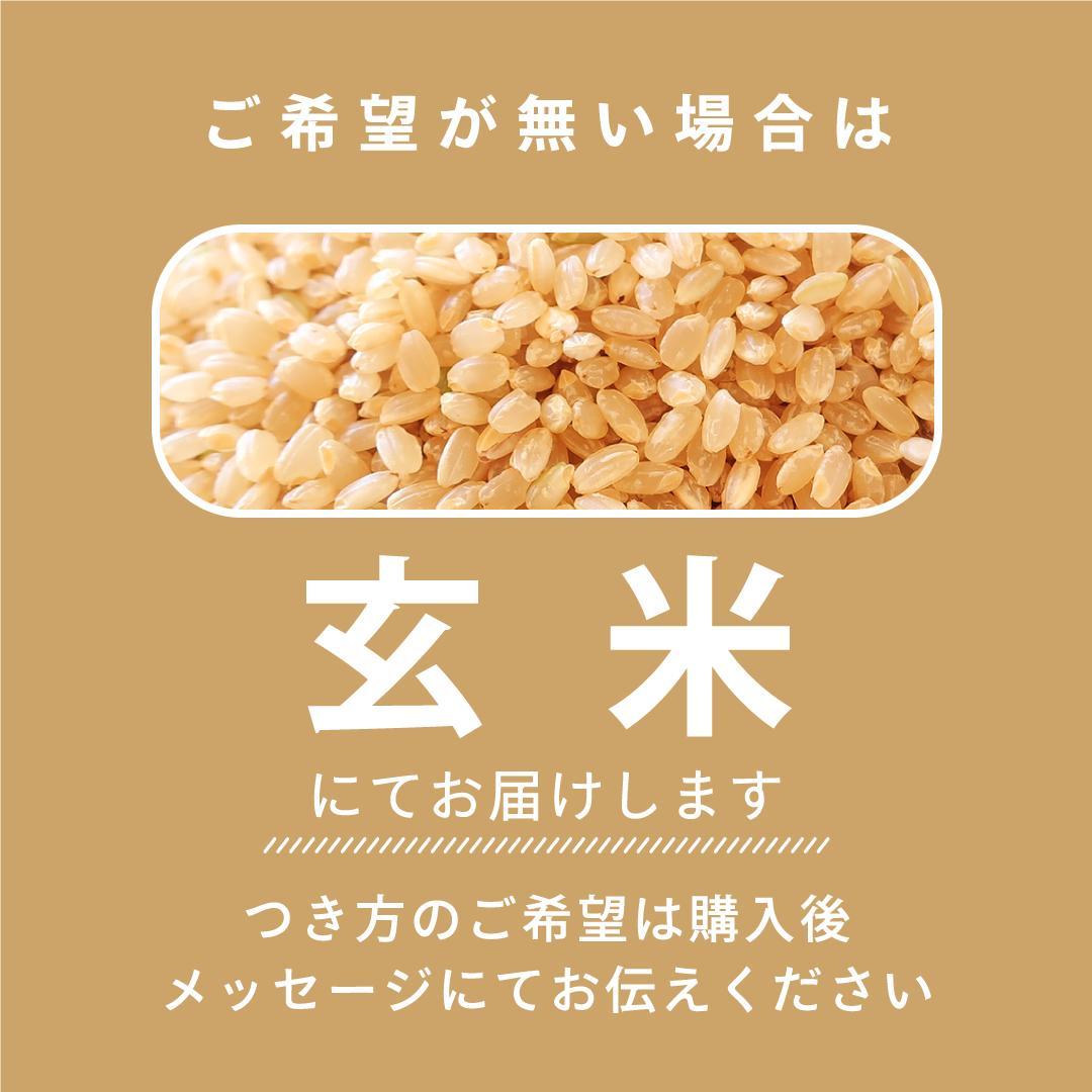 玄米20kg あきさかり