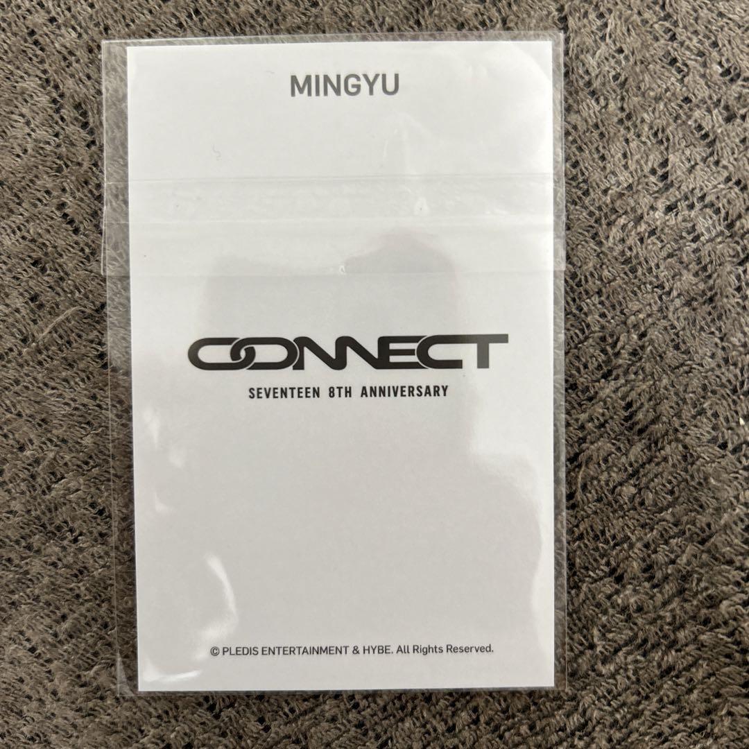 SEVENTEEN - SEVENTEEN 8TH ANNIVERSARY OFFICIAL MERCH MINGYU