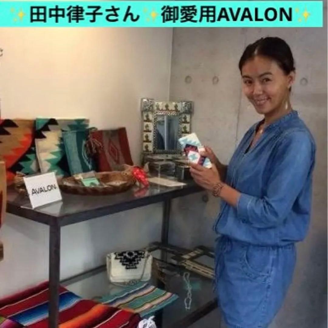 新品AVALON 完売シェル型ショルダーサマーバック