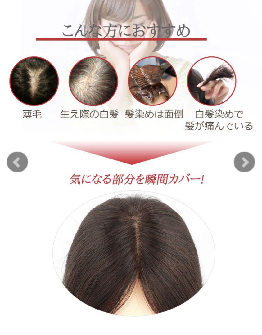 私元気　部分ウィッグ　自然黒