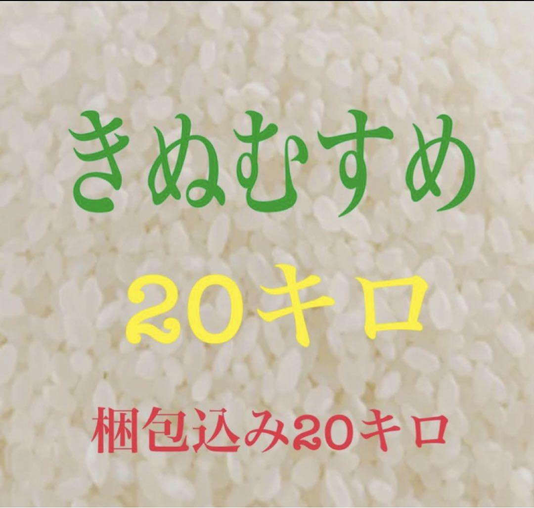 お米20キロ　(きぬむすめ)