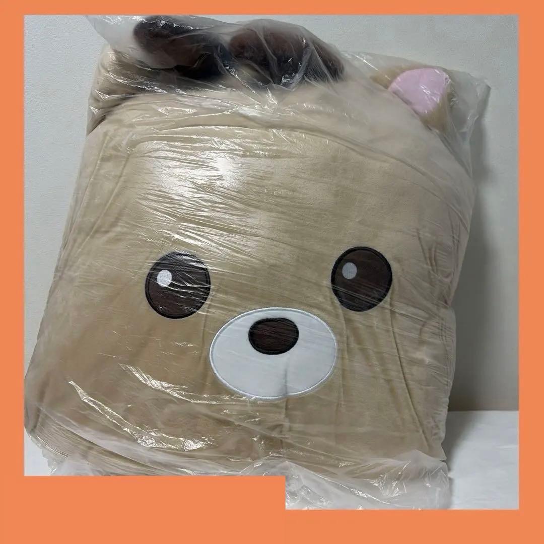 ライズ RIIZE ソンチャン ウラクバム 中国 クッション