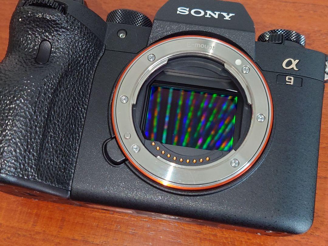 SONY α9 II ミラーレス一眼カメラ 本体