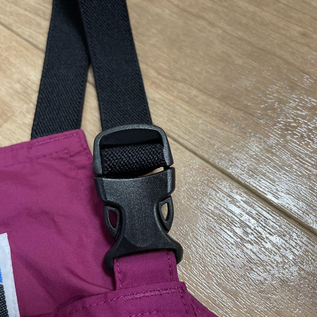 パタゴニア　patagonia スキーパンツ　スキーウェア　2T 美品