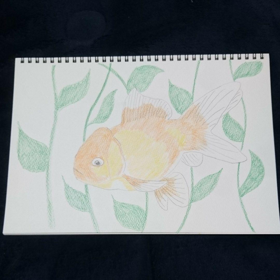 メルカリ 金魚のイラスト 絵画 タペストリ 500 中古や未使用のフリマ メルカリ 金魚のイラスト 絵画 タペストリ 500 中古や未使用のフリマ