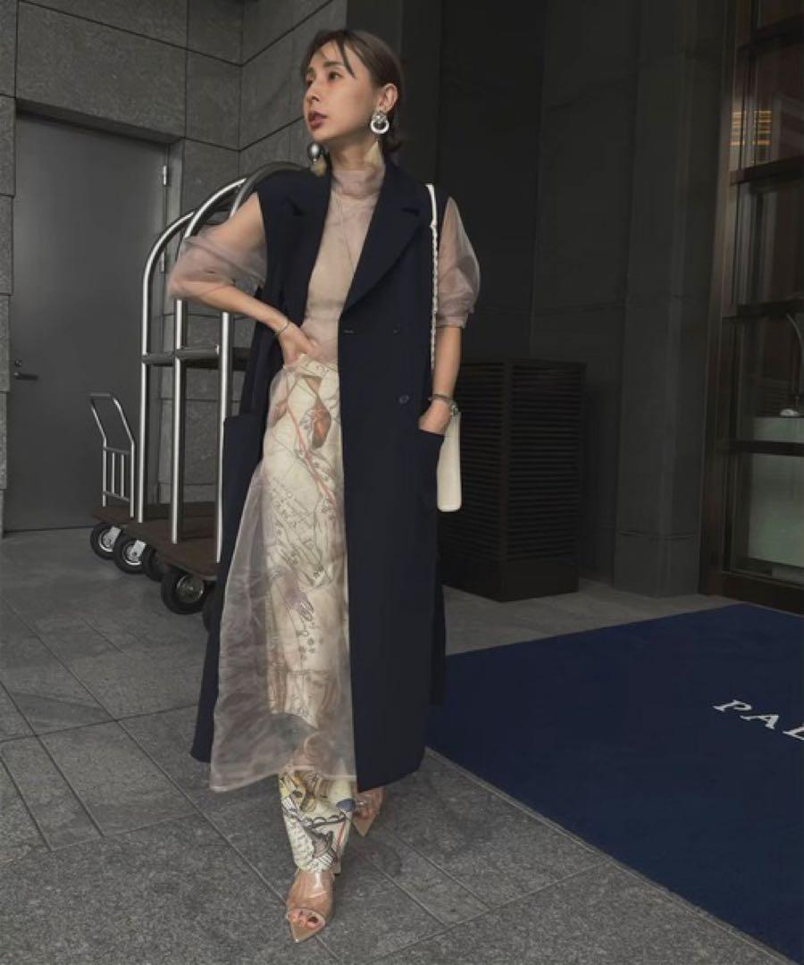 Ameri LONG SHEER DRESS ¥25,300